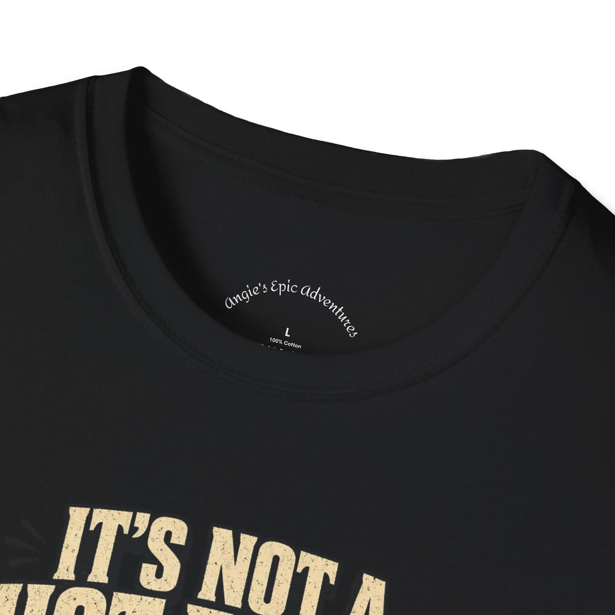 It's Not a Hot Flash Tee