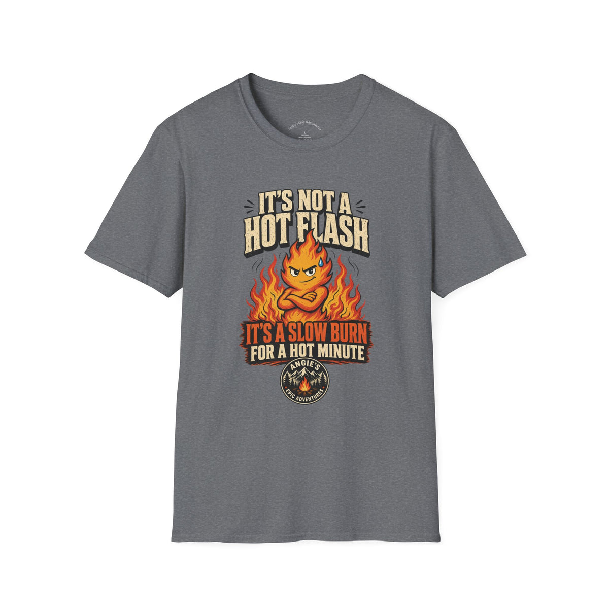 It's Not a Hot Flash Tee